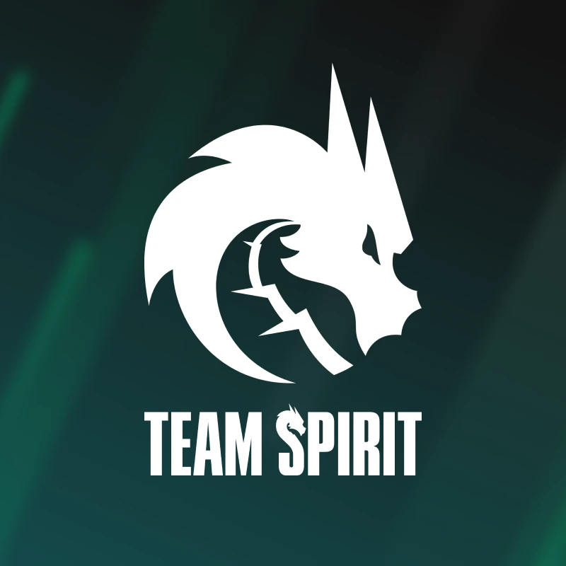 Team Spirit image
