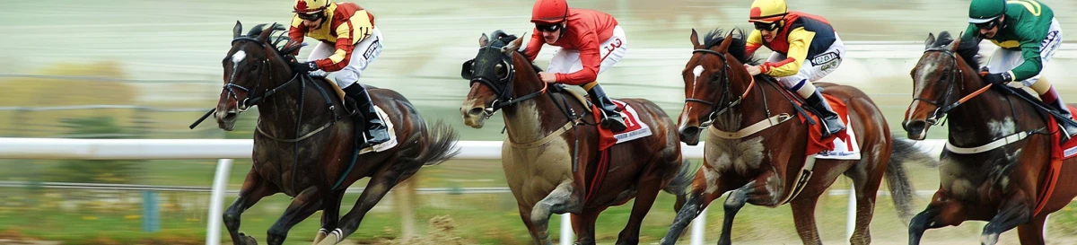 4 Horses racing image