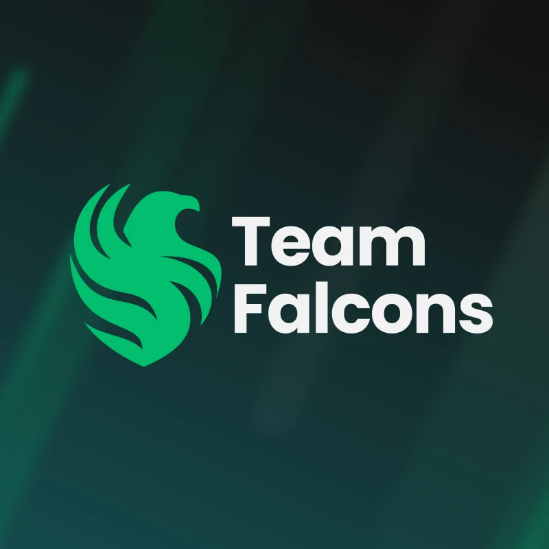Team Falcons image
